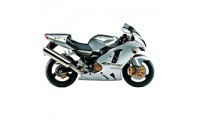 Carenados Kawasaki ZX12R 2002-2006