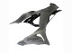 Carenados Moto Kawasaki ZX6R 2023-2025 - Gris Ninja