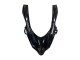 Carenados Moto Kawasaki ZX10R 2004-2005 - Negro Brillante Mate Ninja