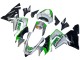 Carenados Moto Kawasaki ZX10R 2004-2005 - Verde Plata Negro 69