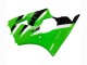 Carenados Moto Kawasaki ZX6R 2000-2002 - Verde Blanco Negro