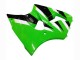 Carenados Moto Kawasaki ZX6R 2000-2002 - Verde Blanco Negro